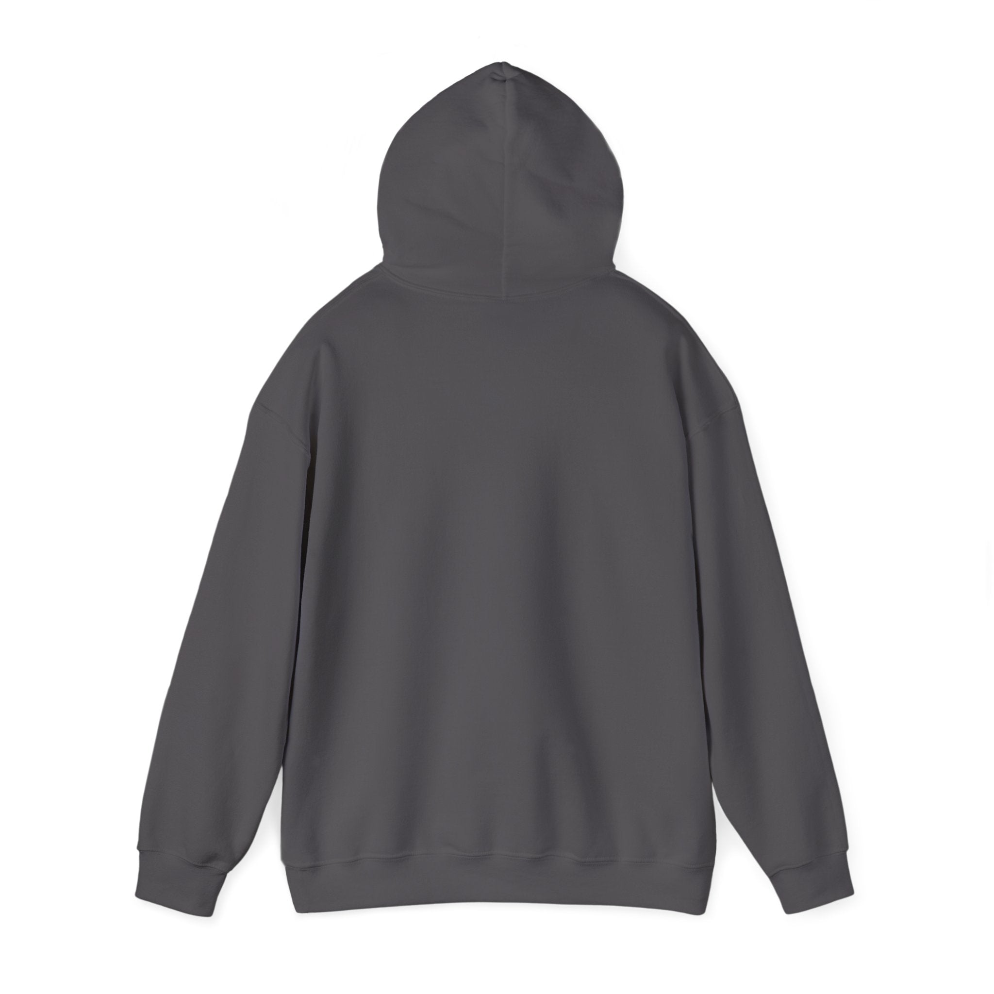 Customizeable Hoodies - Upload Your Design In The Box Or Write Anything in Description To Print On This Hoodies