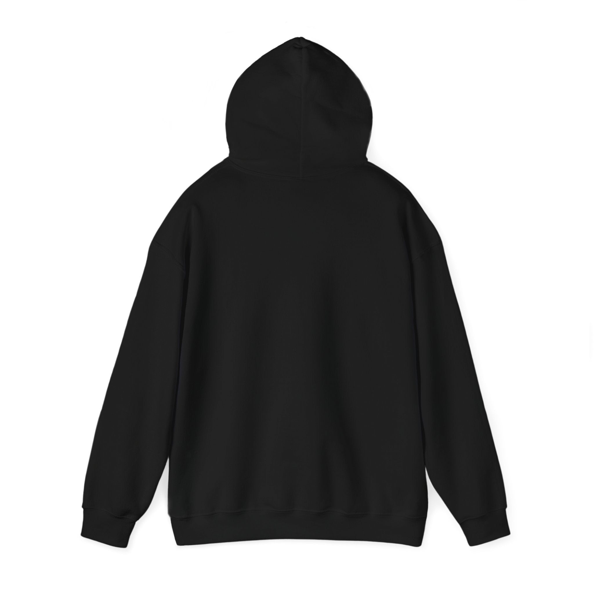 Customizeable Hoodies - Upload Your Design In The Box Or Write Anything in Description To Print On This Hoodies