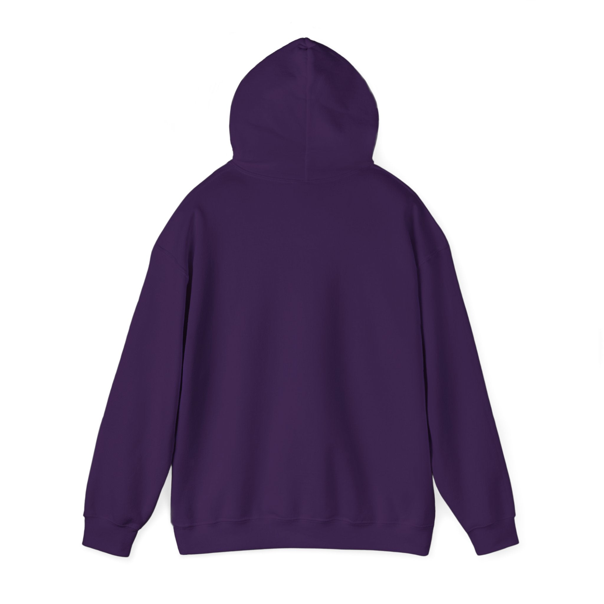 Customizeable Hoodies - Upload Your Design In The Box Or Write Anything in Description To Print On This Hoodies