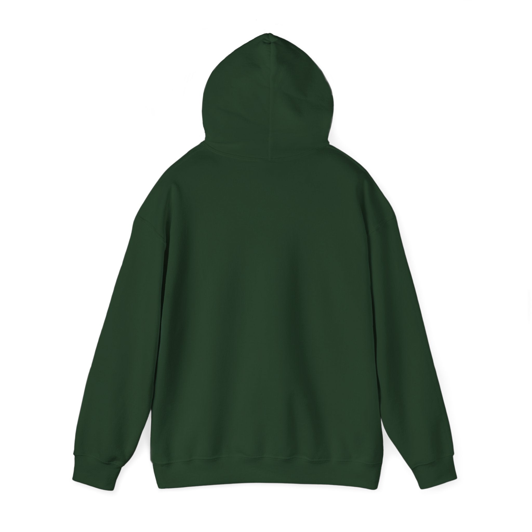 Customizeable Hoodies - Upload Your Design In The Box Or Write Anything in Description To Print On This Hoodies